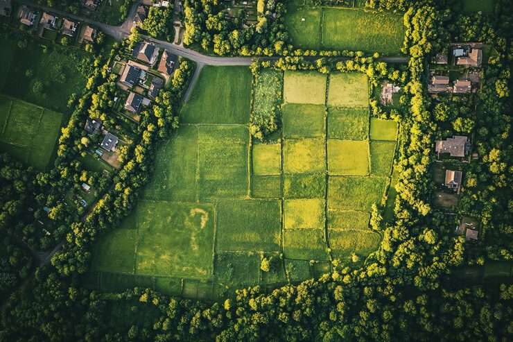 My Home Green Valley plots Kokapet